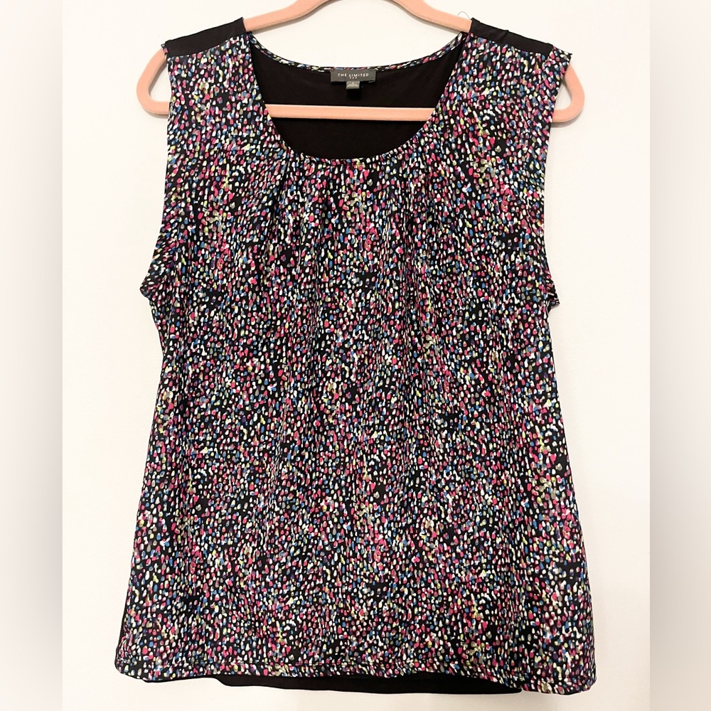 The Limited Colorful Blouse